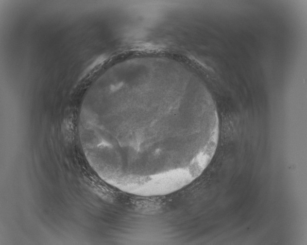 X0000080181254200701051648