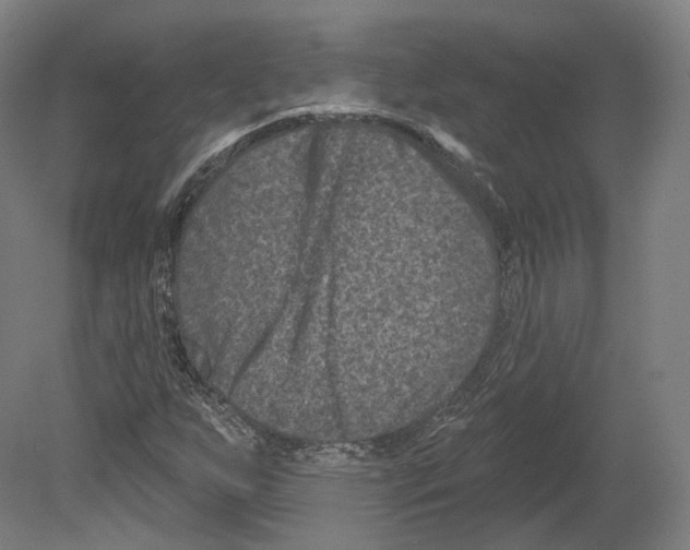 X0000080181255200701051648