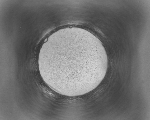 X0000080181256200701051648