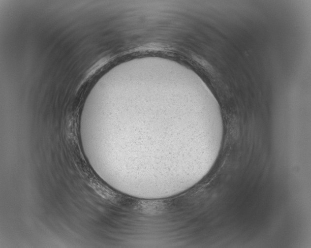 X0000080181258200701051648