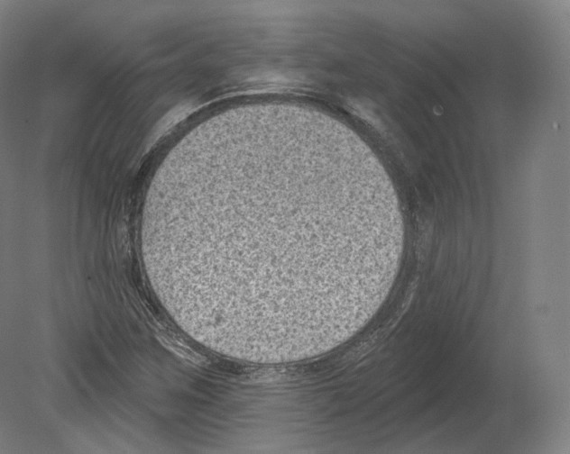 X0000080181259200701051648