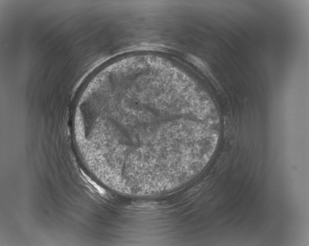 X0000080181260200701051648