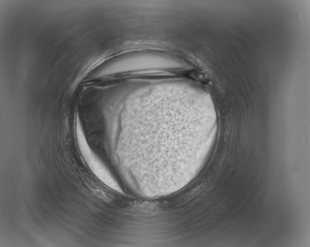 X0000080181261200701051648