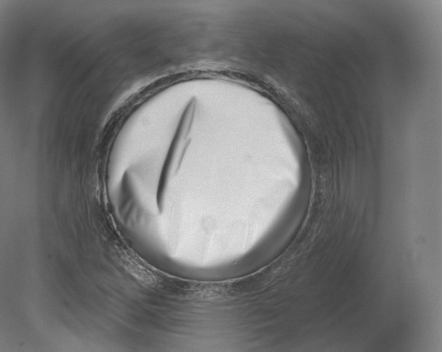 X0000080181262200701051648