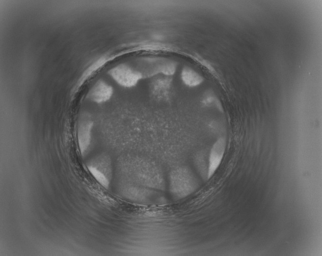 X0000080181263200701051648