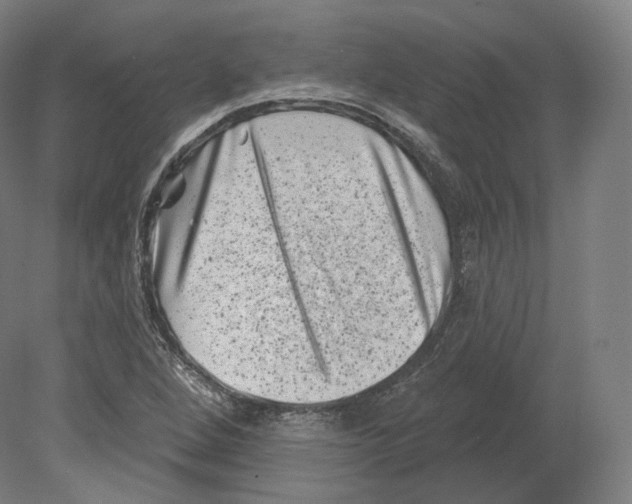 X0000080181264200701051648