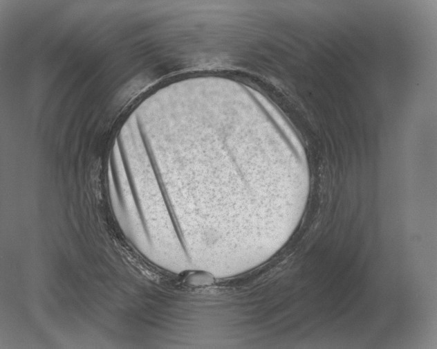 X0000080181265200701051648