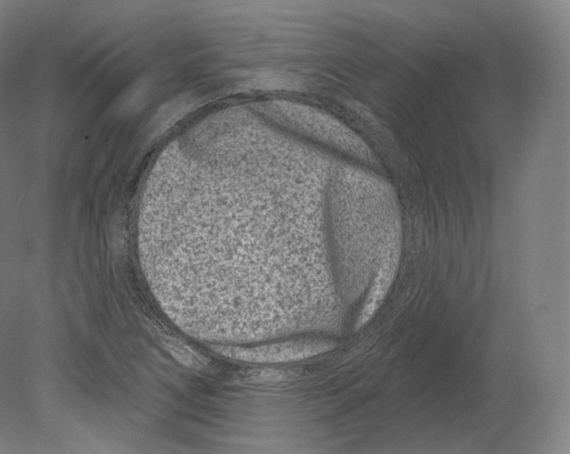 X0000080181266200701051648