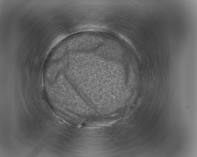 X0000080181267200701051648