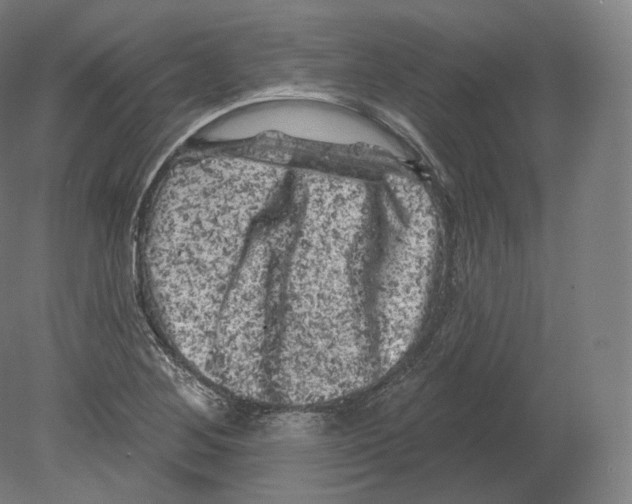 X0000080181268200701051648