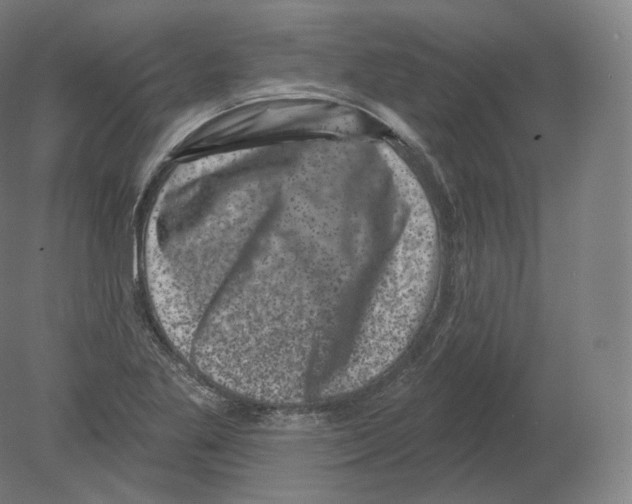 X0000080181269200701051648