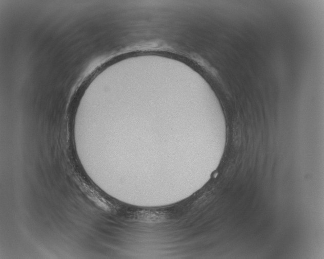 X0000080181270200701051648