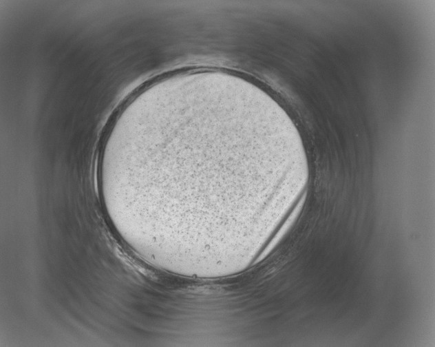 X0000080181272200701051648