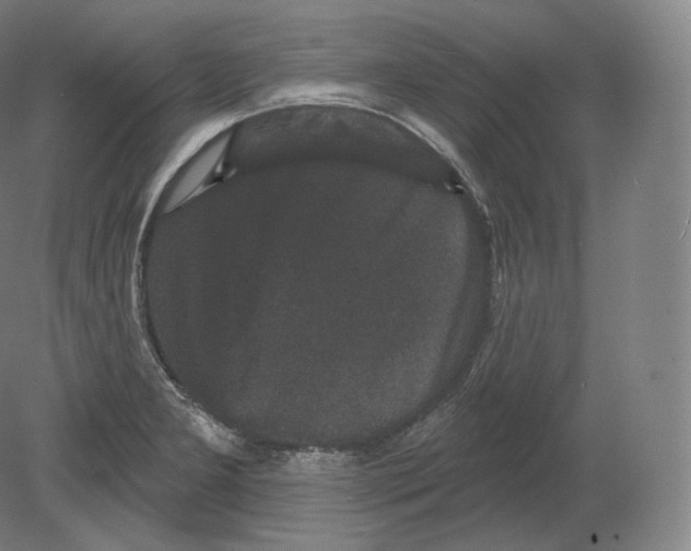 X0000080181277200701051648