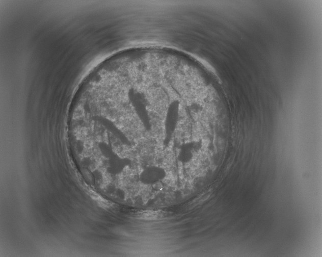 X0000080181279200701051647