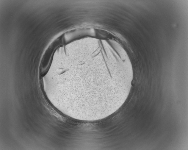 X0000080181280200701051647