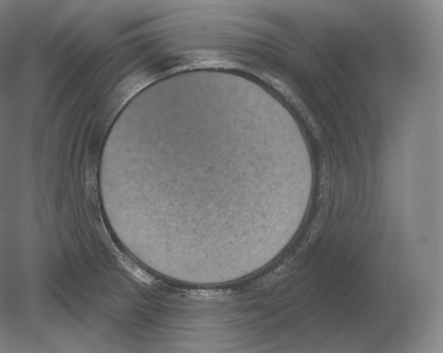 X0000080181281200701051647