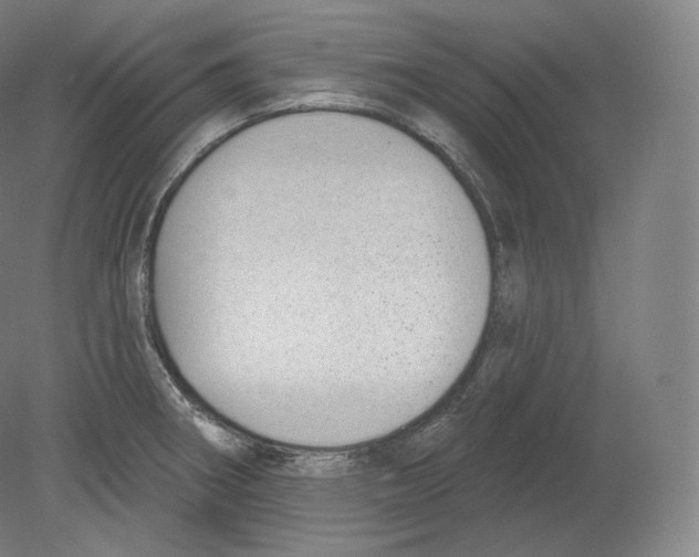 X0000080181282200701051647