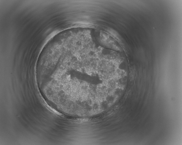 X0000080181283200701051647