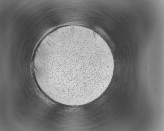 X0000080181284200701051647