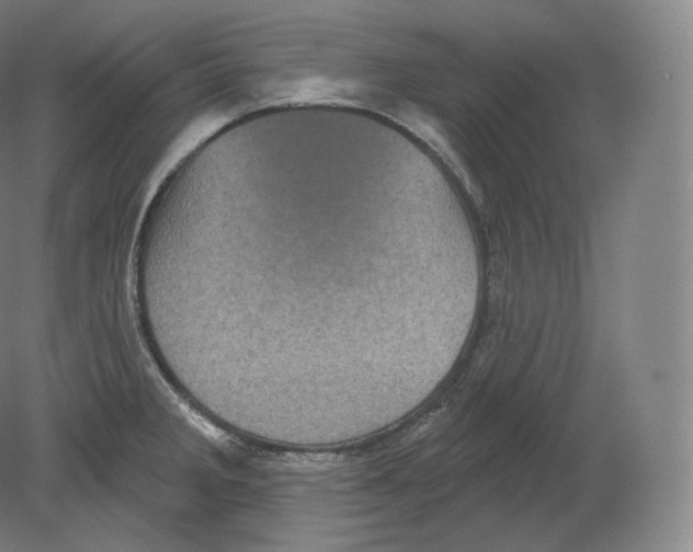 X0000080181285200701051647