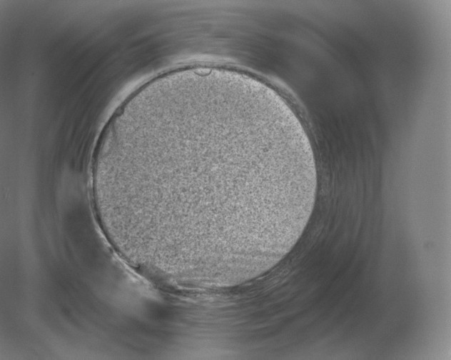 X0000080181287200701051647