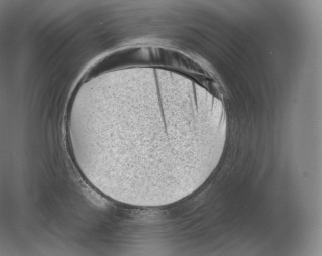 X0000080181288200701051647