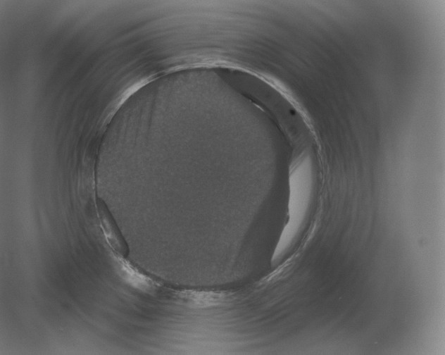 X0000080181289200701051647