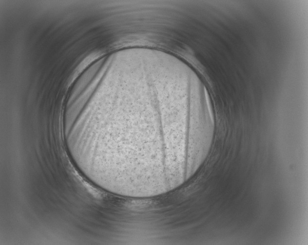 X0000080181290200701051647