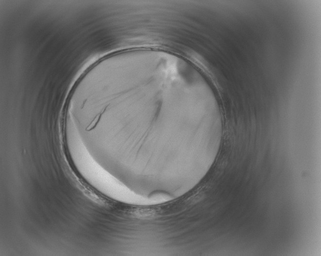 X0000080181291200701051647