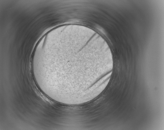 X0000080181292200701051647