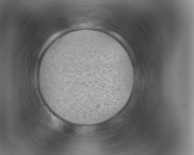 X0000080181294200701051647