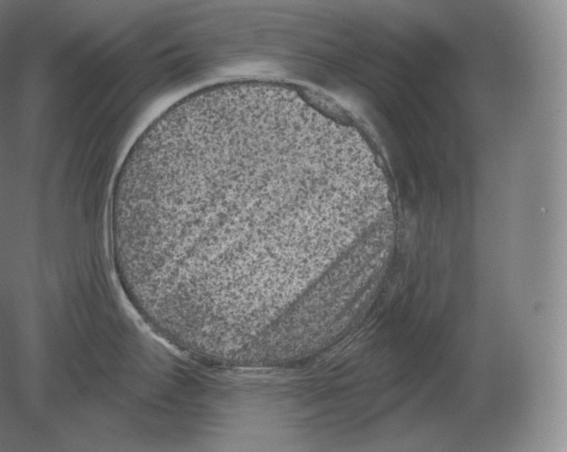 X0000080181295200701051647