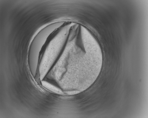 X0000080181296200701051647