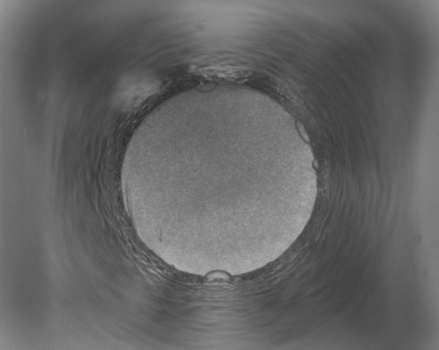 X0000080181297200701051646