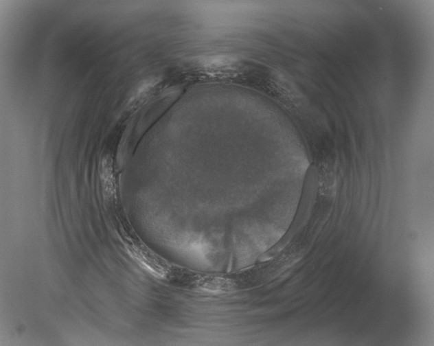 X0000080181298200701051646