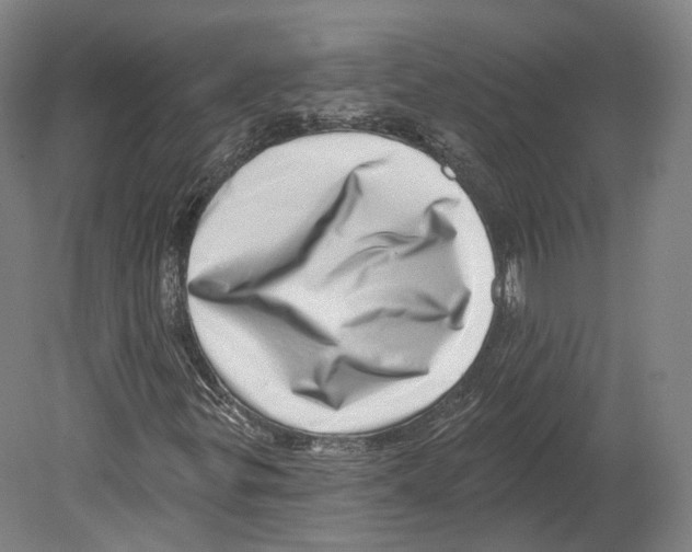 X0000080181299200701051646