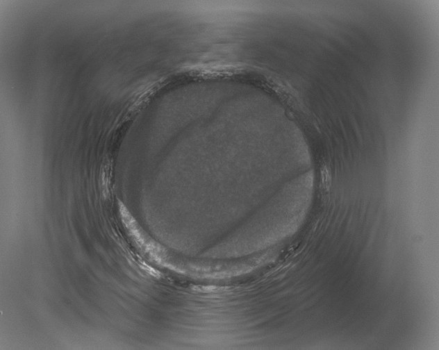 X0000080181300200701051646