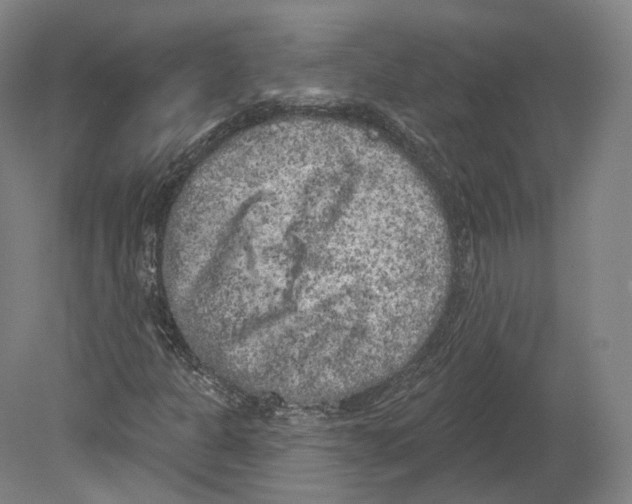 X0000080181301200701051646