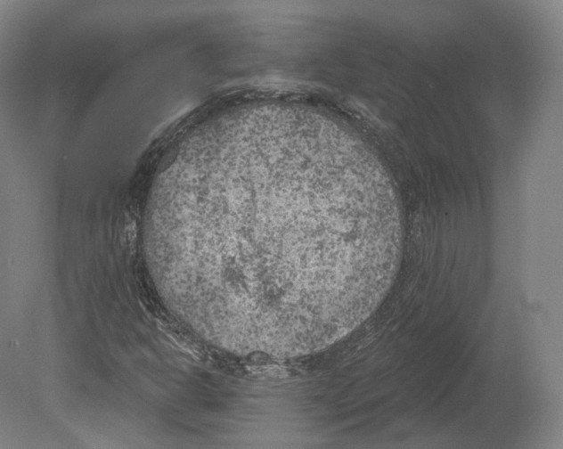 X0000080181302200701051646