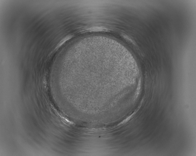 X0000080181305200701051647