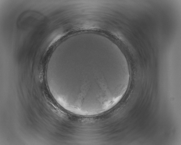 X0000080181306200701051647