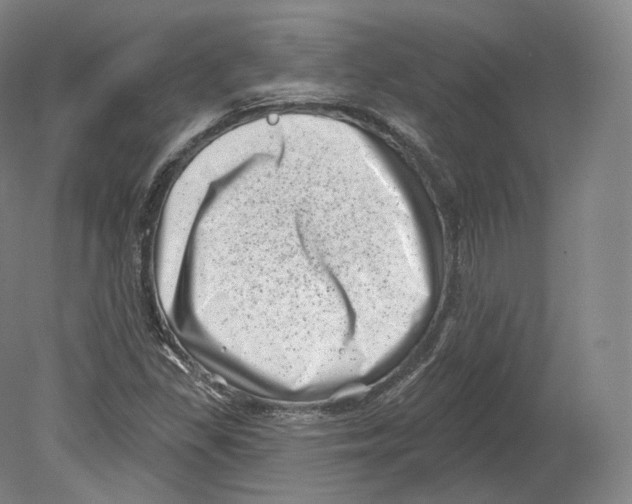 X0000080181309200701051647