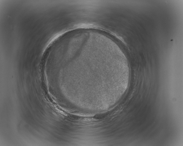 X0000080181311200701051647