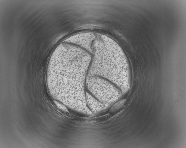 X0000080181313200701051647