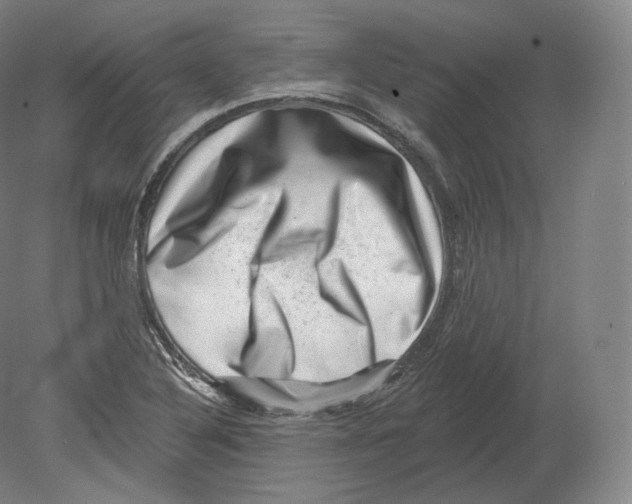 X0000080181316200701051647