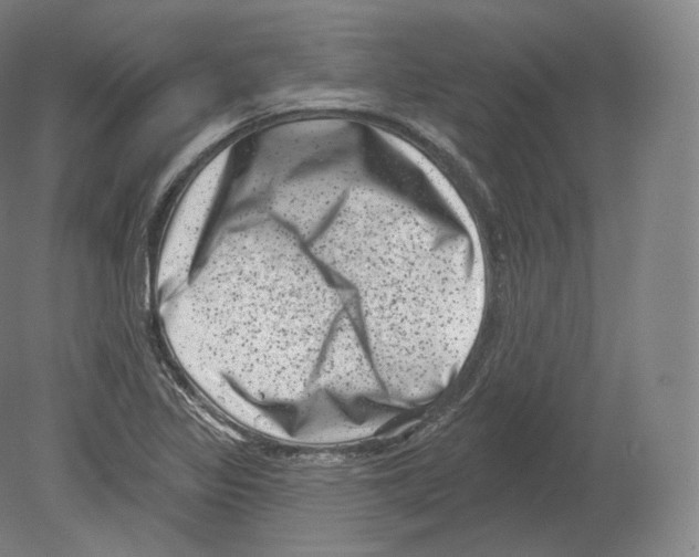 X0000080181317200701051647