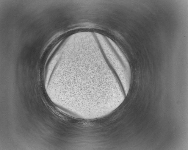 X0000080181318200701051647