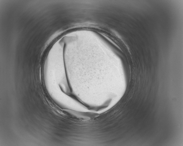 X0000080181320200701051647