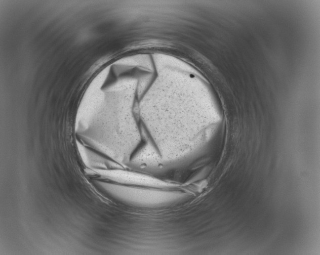 X0000080181321200701051647